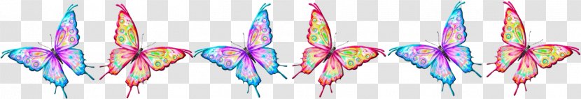 Photography Butterfly PhotoScape - Feather Transparent PNG