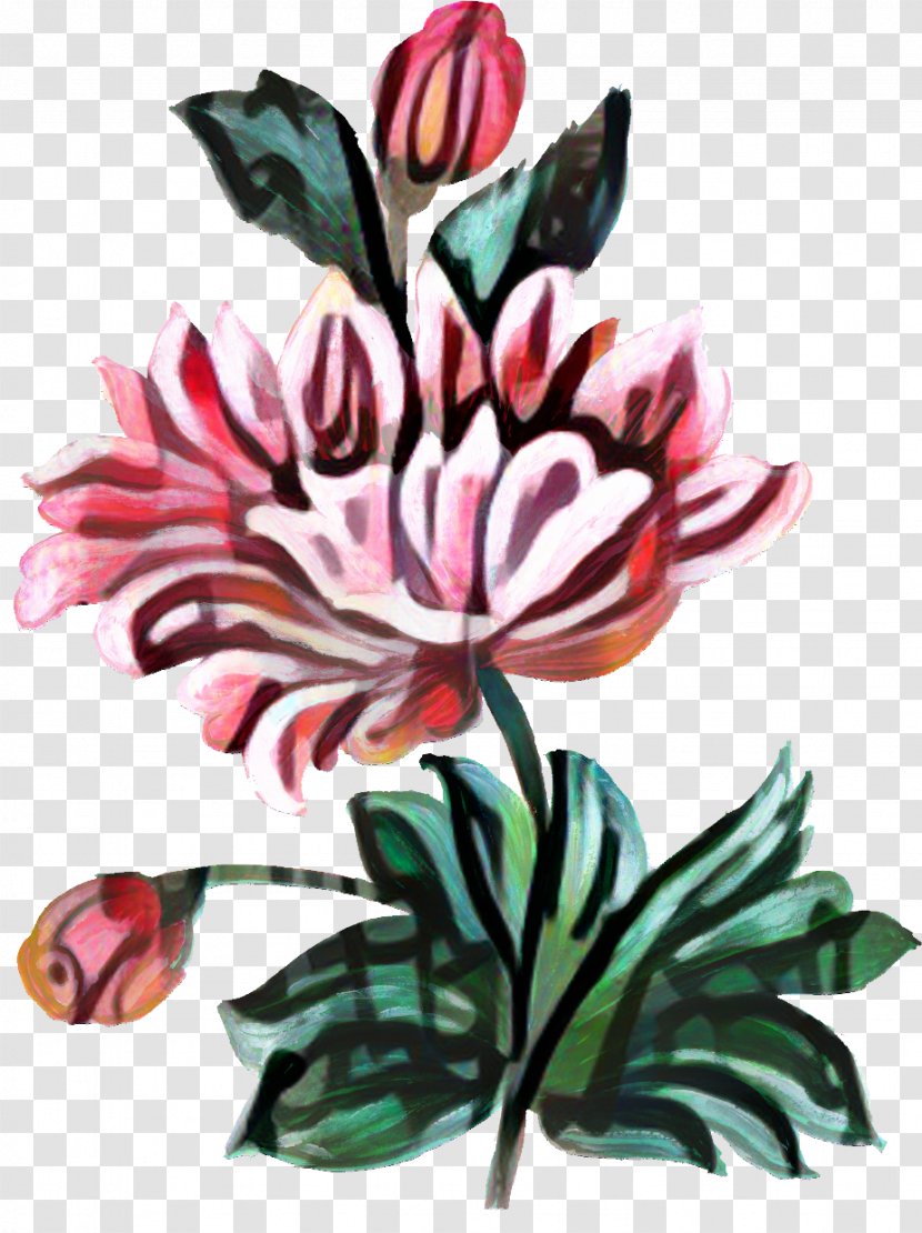 Drawing Of Family - Petal - Plant Stem Lily Transparent PNG