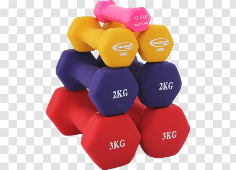 Dumbbell Physical Exercise Equipment Barbell Bodybuilding - Olympic Weightlifting - Color Transparent PNG