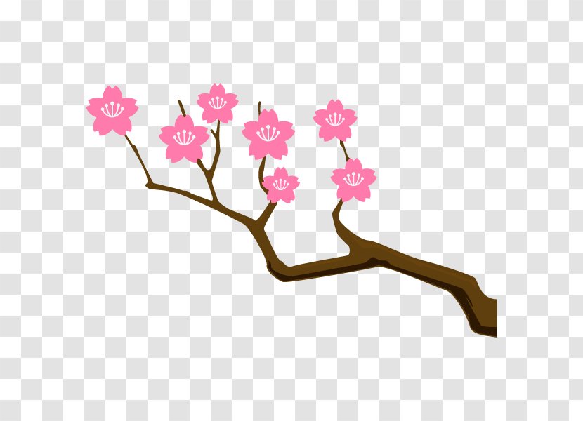 Meaning Idiom Synonym Etymology Cherry Blossom - Yojijukugo Transparent PNG