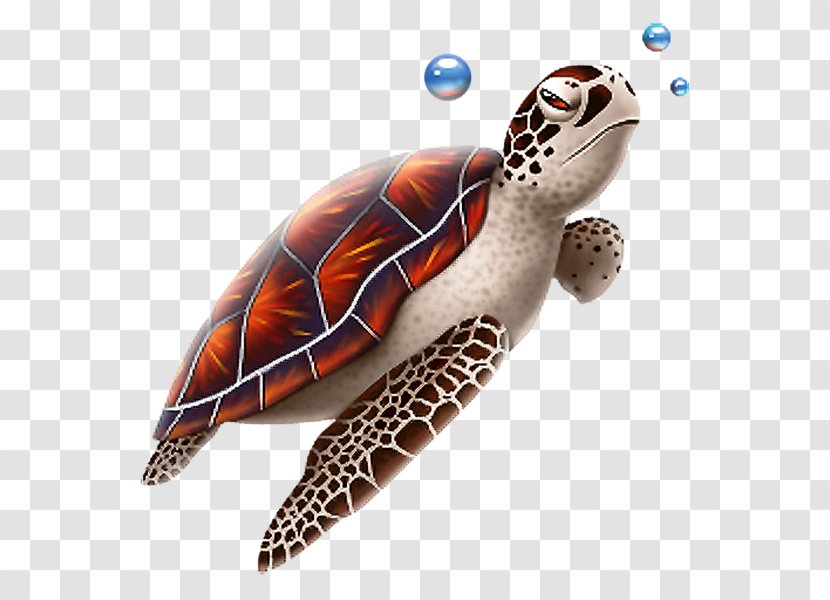 Green Sea Turtle Reptile Transparent PNG