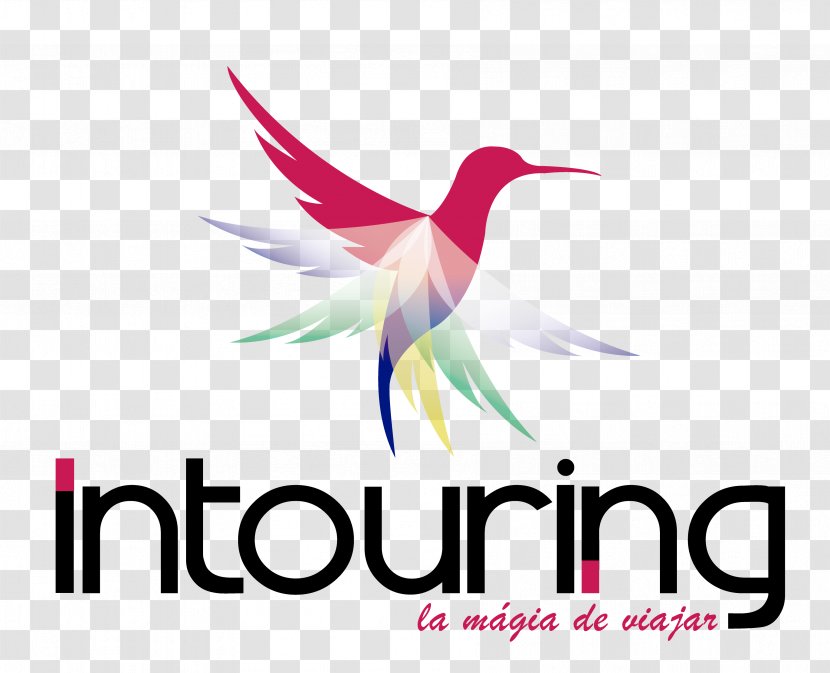Travel Agent Agencia De Viajes Ecuador - Artwork - Gabirai Tours C.L. Logo TourismTravel Transparent PNG