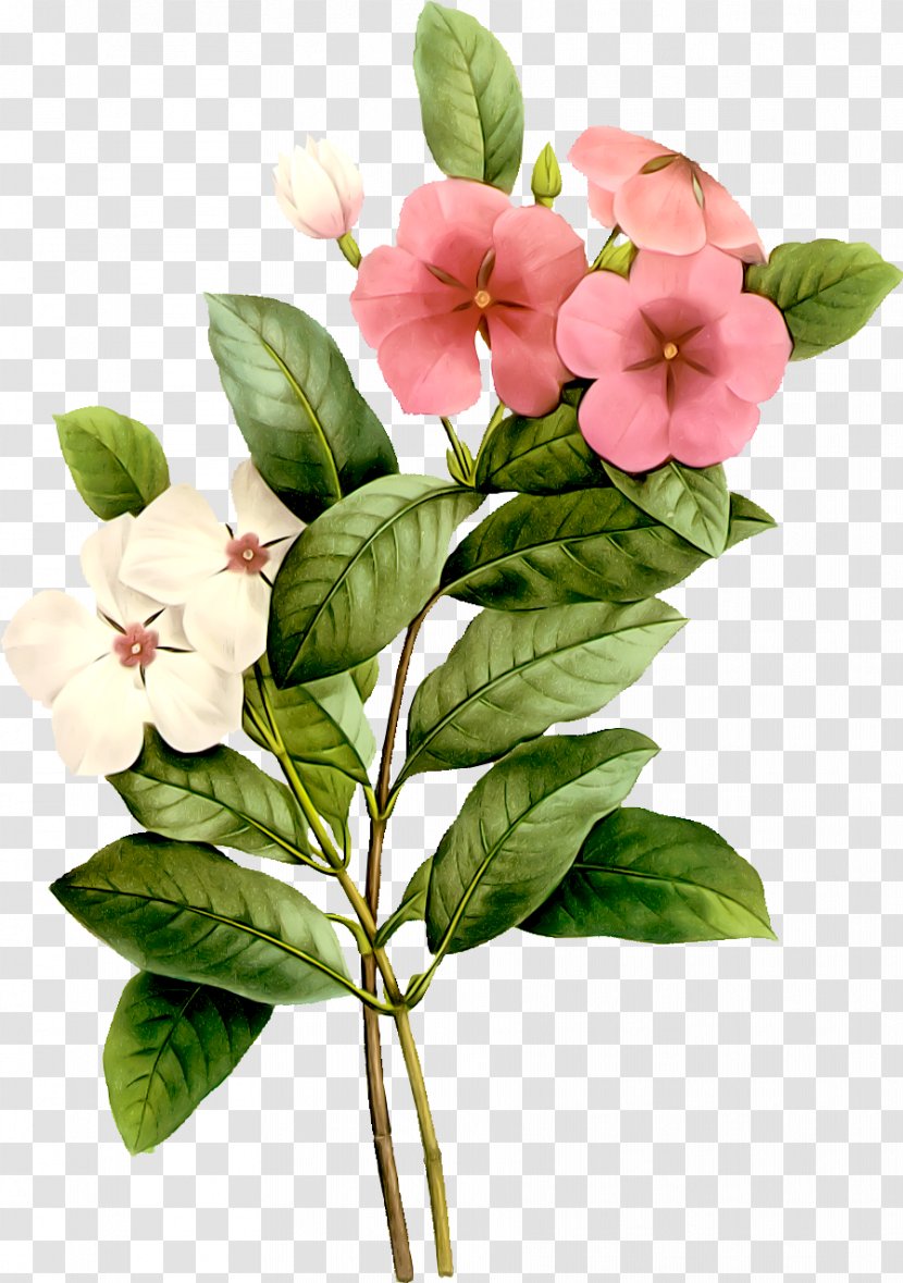 Flower Watercolor Painting Plant - Branch - Painted Flowers Transparent PNG
