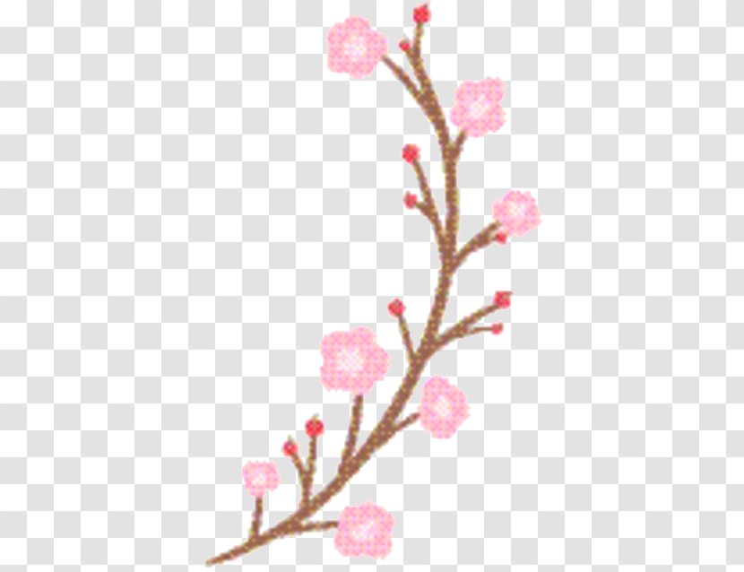 Cherry Blossom Background - Twig - Pedicel Plant Stem Transparent PNG