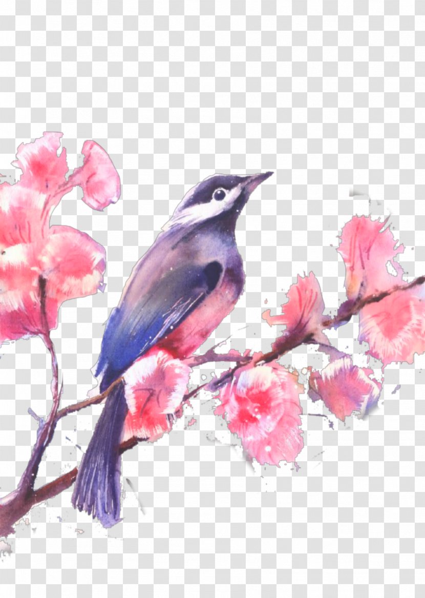 Watercolor Painting Stock Illustration Drawing - Hummingbird Transparent PNG