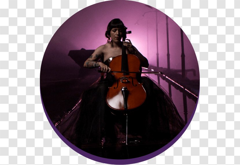 Cello Double Bass Violin Fiddle Tololoche - Flower Transparent PNG