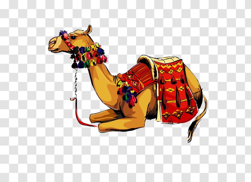Dromedary Llama کوهان Domestic Animal - Crossstitch - Camel Caravan Transparent PNG