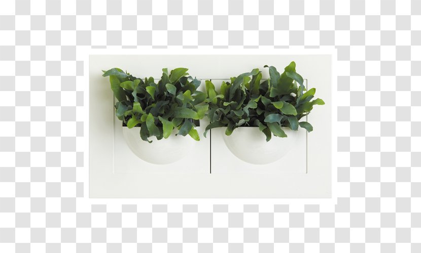 Succulent Plant Leaf Flowerpot Vase - Green Wall Transparent PNG
