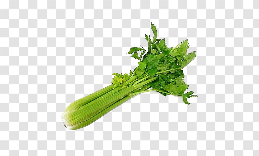 Wild Celery Organic Food Vegetable Salad Transparent PNG