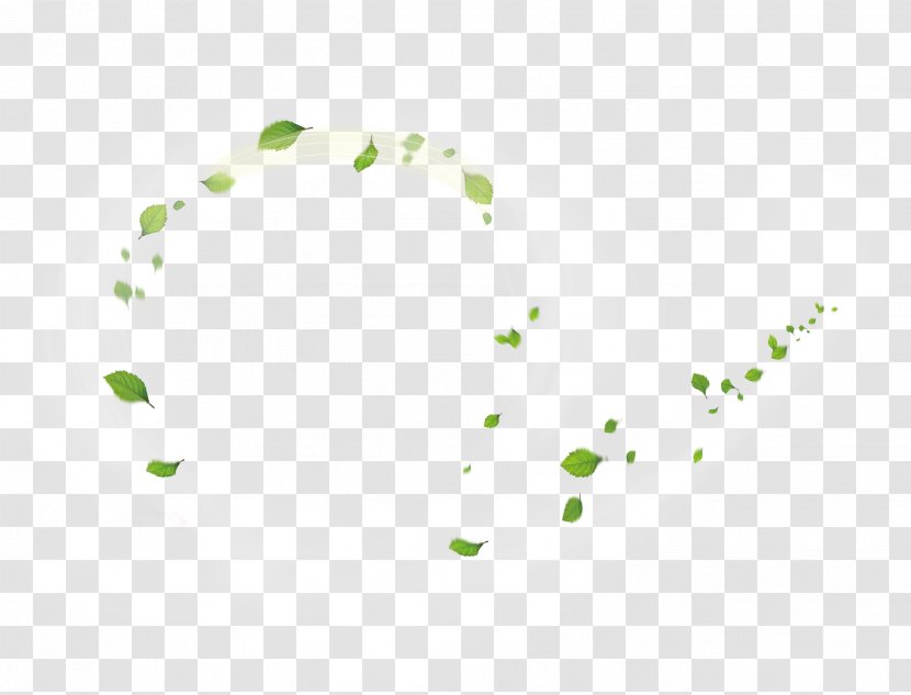 Download Green Dr. Leonel Espinoza Clip Art - Rectangle - Leaves Whirlwind Floating Material Transparent PNG