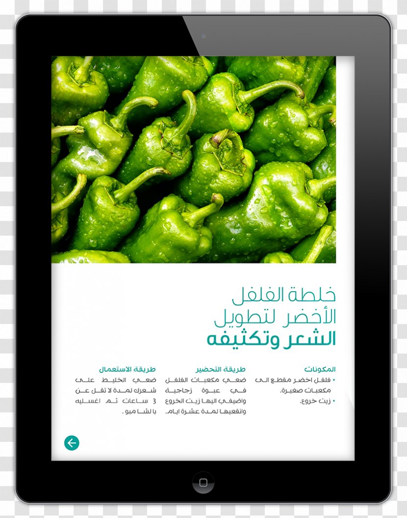 Stock Photography Shutterstock Illustration Image - Peppers - Vegetable Transparent PNG