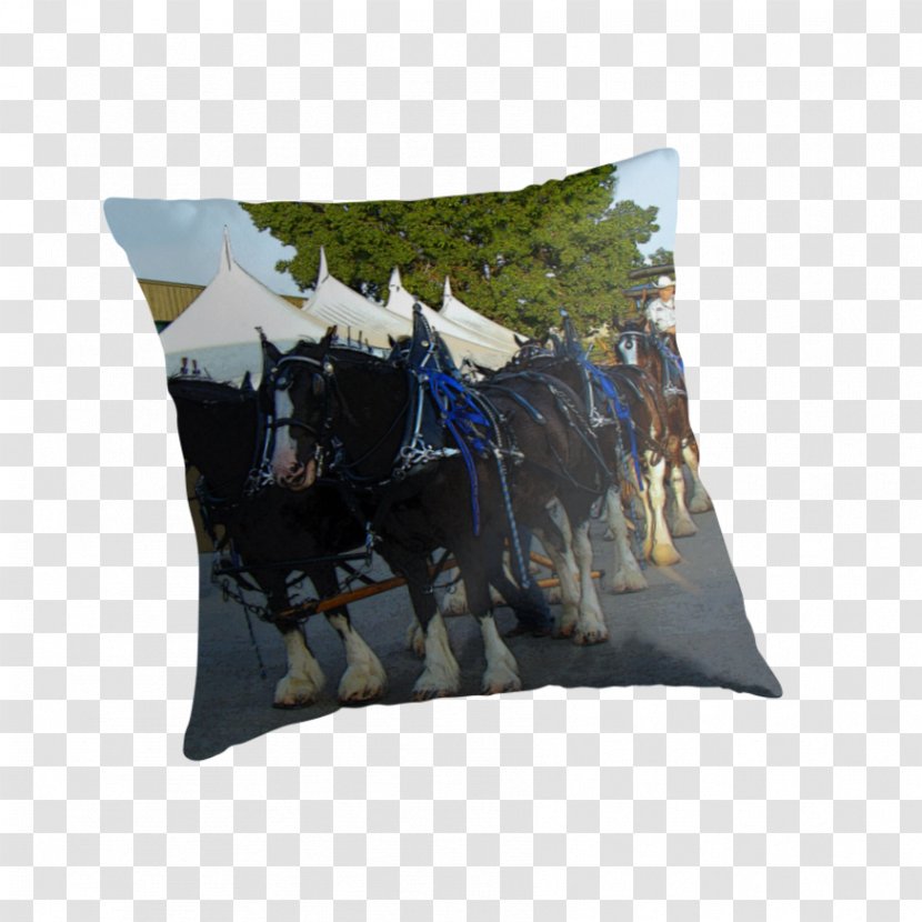 Budweiser Clydesdales Clydesdale Horse Beer Anheuser-Busch - Throw Pillow - Throwing Rubbish Transparent PNG