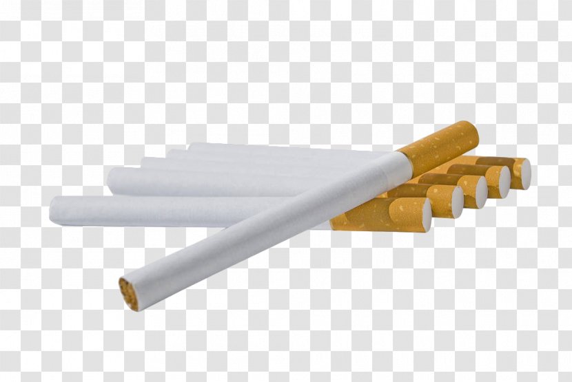 Cigarette Stock Photography Tobacco - Tree - A Row Of Cigarettes Transparent PNG