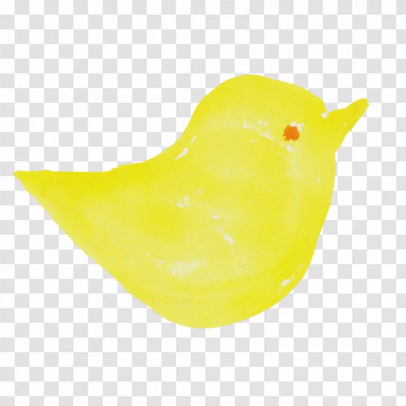 Yellow Bath Toy Bird Rubber Ducky Transparent PNG