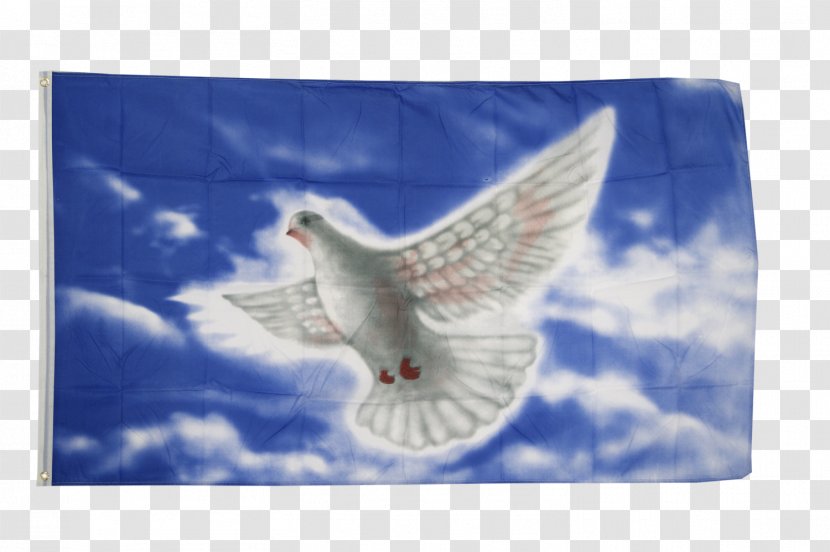 Rainbow Flag Peace Fahne - Symbols Transparent PNG
