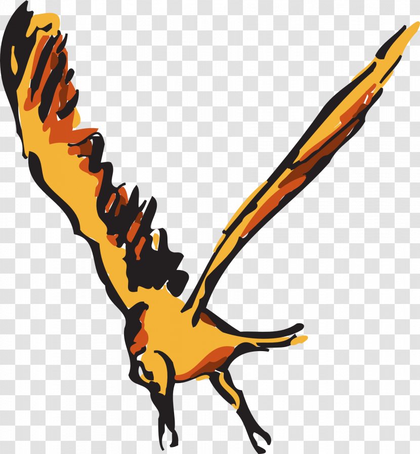 Bird Wing Orange Clip Art - Beak Transparent PNG