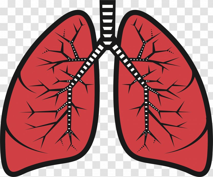 Lung Clip Art - Heart - Lungs Surgery Transparent PNG