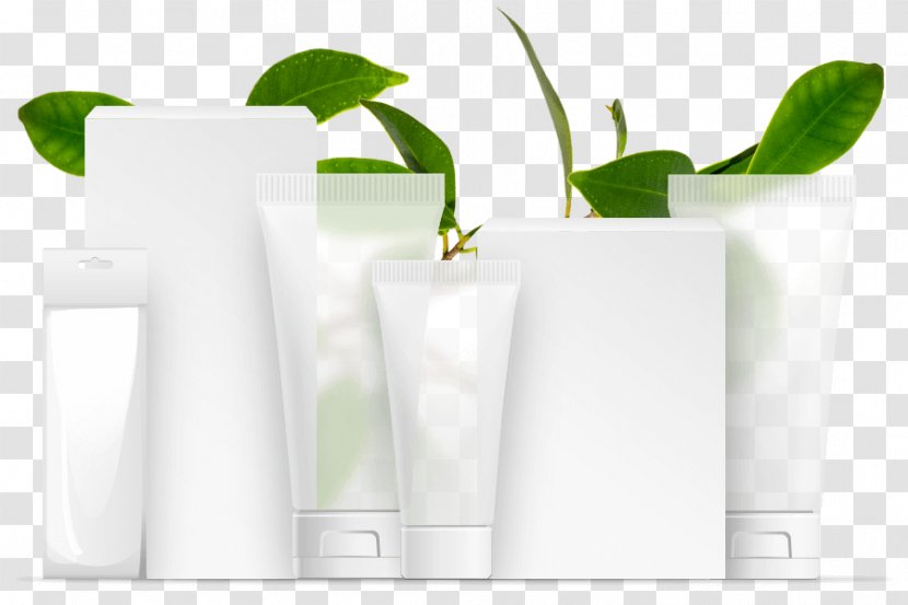 Flowerpot Water - Traditional Chinese Medicine Cosmetology Transparent PNG