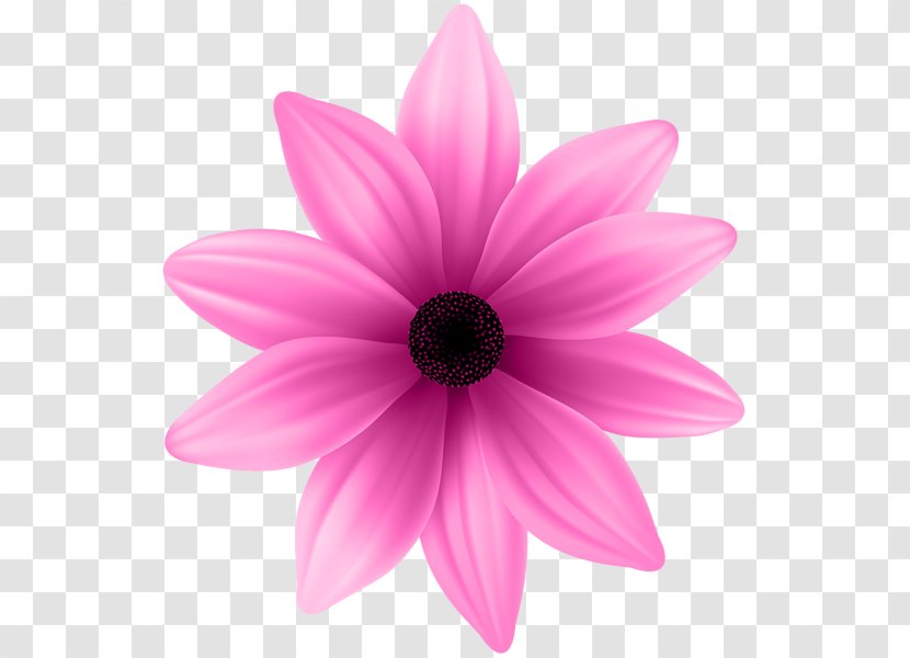 Flower Purple Pink Clip Art - Petal Transparent PNG