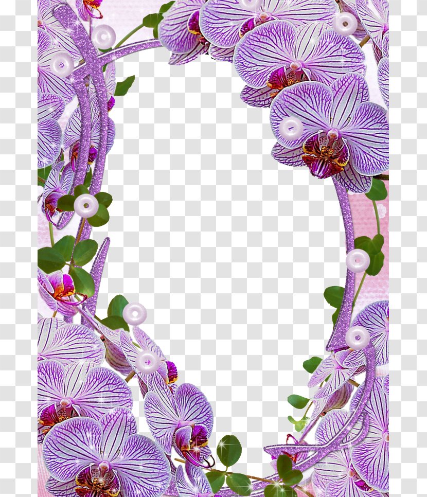 Picture Frame Clip Art - Lilac - Mood Transparent PNG