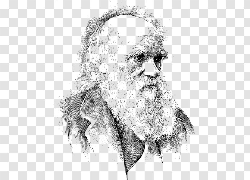 On The Origin Of Species Voyage Beagle Evolution Darwin Day Scientist - Gentleman Transparent PNG