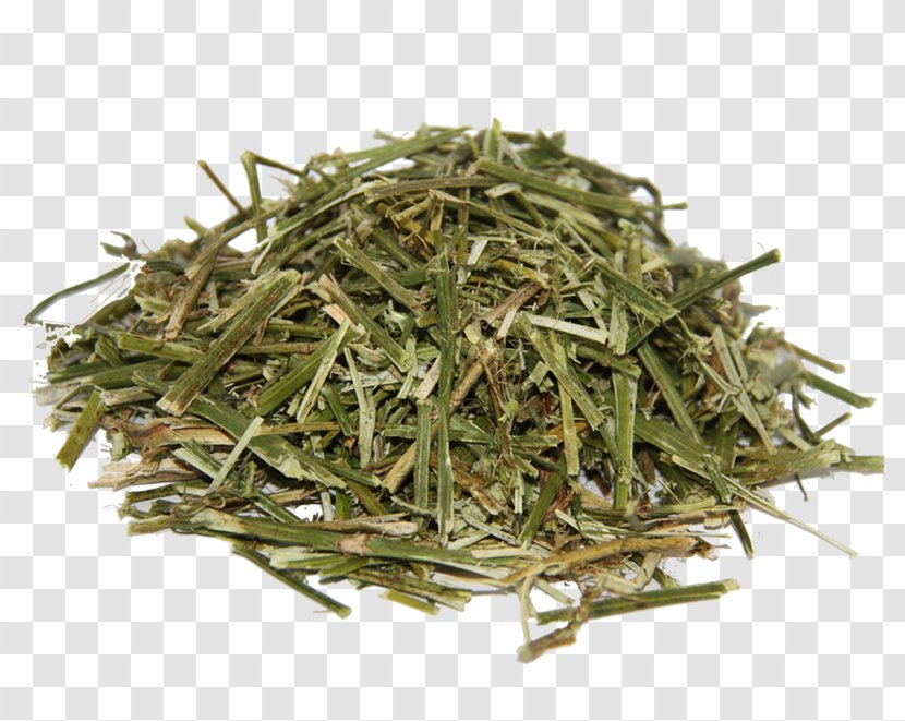 Longjing Tea Baihao Yinzhen Nilgiri Sencha Biluochun - Straw - Alfalfa Transparent PNG