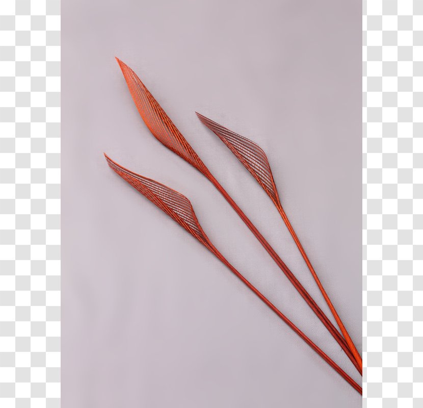 Feather - Wing Transparent PNG