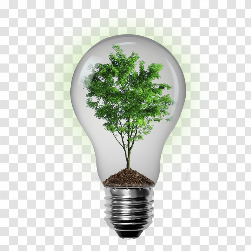 Environmentally Friendly Sustainable Living Sustainability Natural Environment - Goods - Energy-saving Lamps Transparent PNG