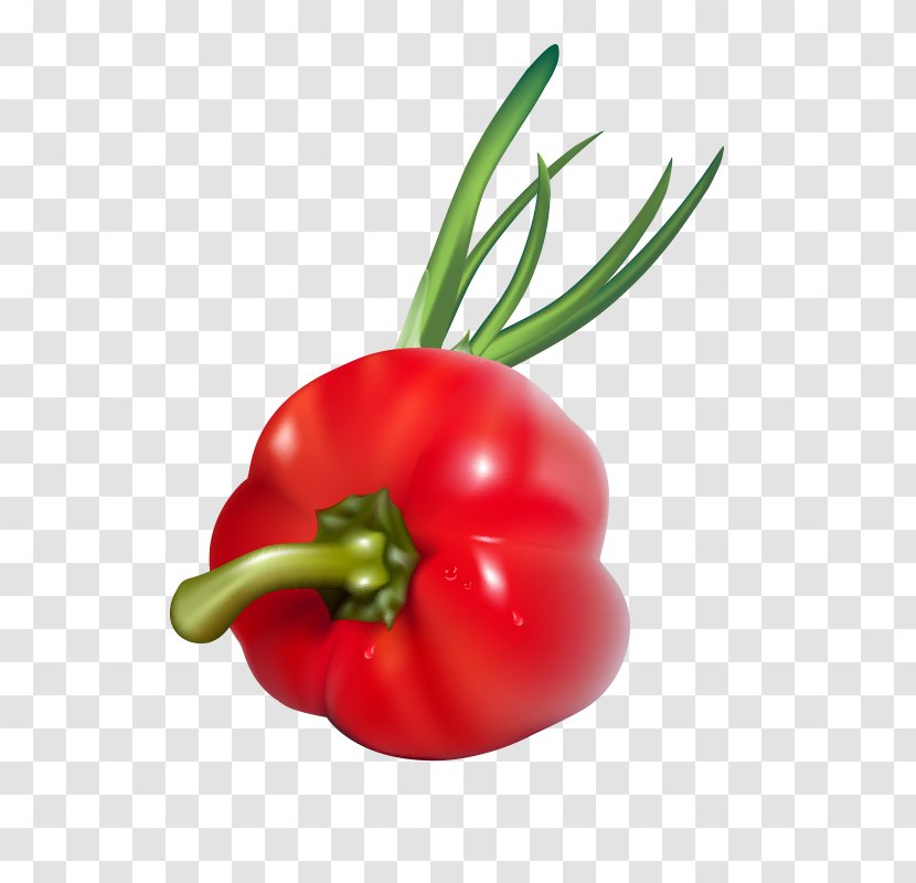 Bell Pepper Habanero Birds Eye Chili Tomato Cayenne - Drawing - Cartoon Vegetable Lantern Transparent PNG