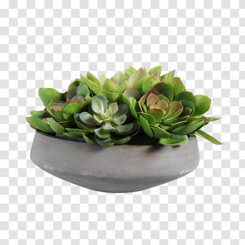 Floral Design Artificial Flower Floristry Flowerpot - Arranging - Succulent Watercolor Transparent PNG