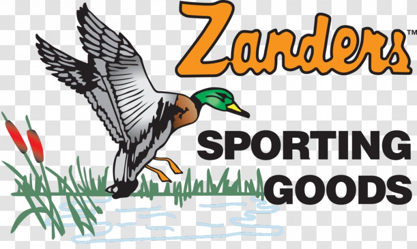 Zanders Sporting Goods Firearm Business - Frame - Cartoon Transparent PNG