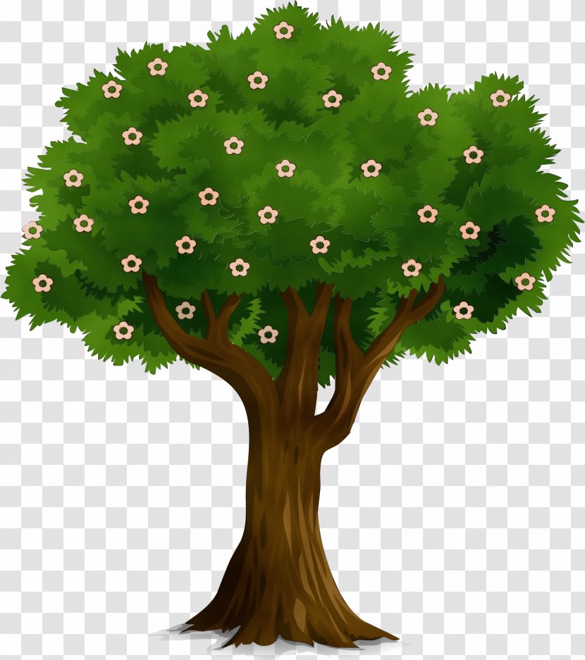 Arbor Day - Woody Plant - Flower Transparent PNG