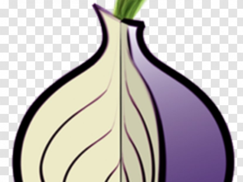 The Tor Project, Inc .onion Onion Routing Web Browser - Computer Network - Tors Transparent PNG