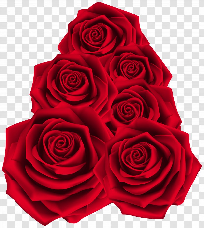 Image File Formats Lossless Compression - Flowering Plant - Red Roses Transparent Clip Art Transparent PNG