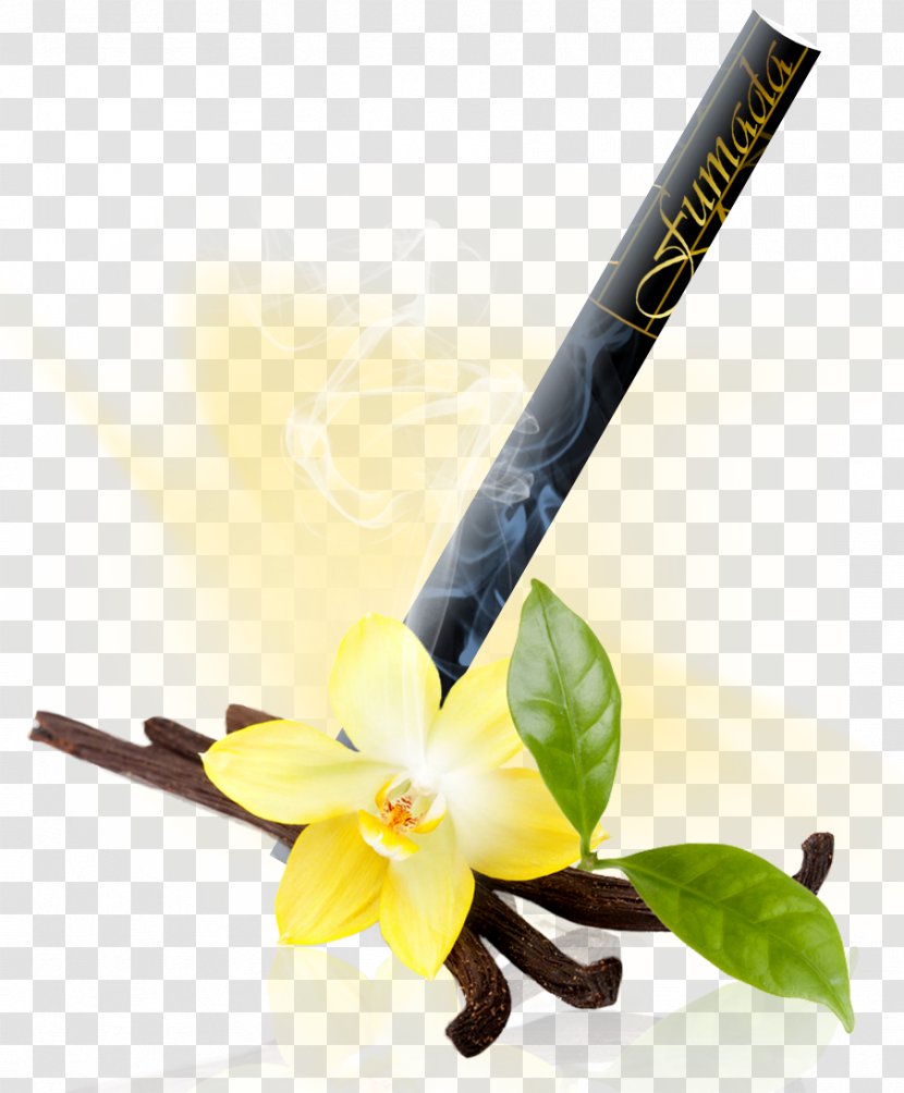 Vanilla Orchids Food Stock Photography - Extract Transparent PNG