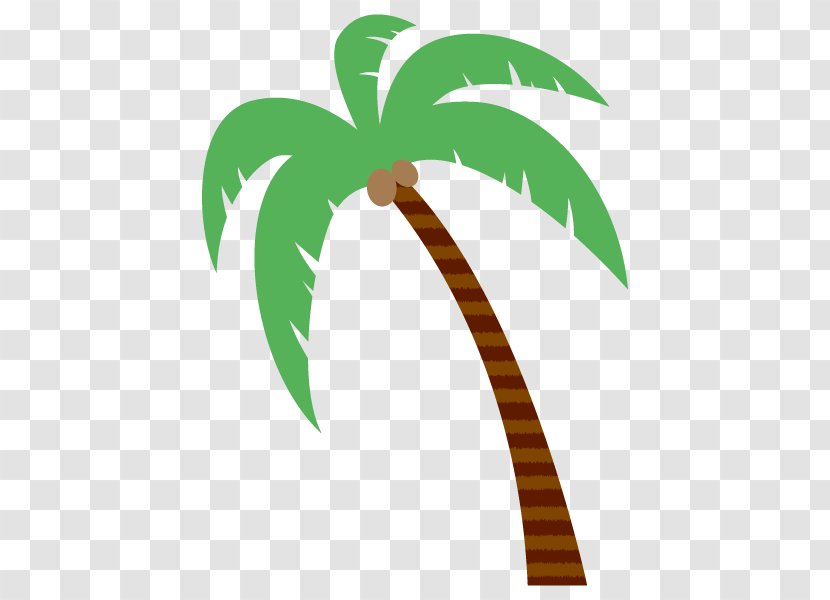 Palm Trees Vector Graphics Coconut Design - Tree - Arecales Transparent PNG