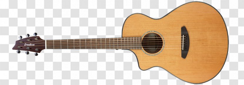 Acoustic-electric Guitar Steel-string Acoustic - Silhouette - Unique Guitars Transparent PNG