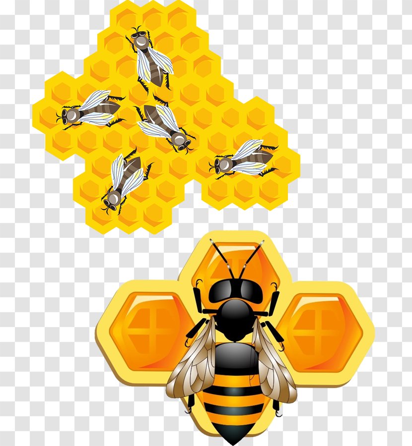Bee Insect Honeycomb Clip Art - 3d Computer Graphics - 3D Bees Transparent PNG