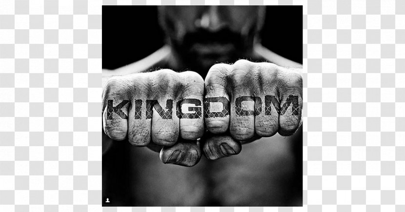 Kingdom - Dvd - Season 2 DVD Finger Saison PhotographyNate Grey Transparent PNG