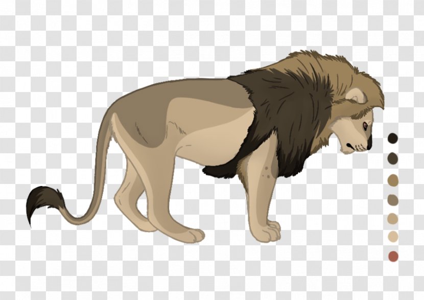 Lion Cat Terrestrial Animal Fauna Wildlife - Carnivoran Transparent PNG