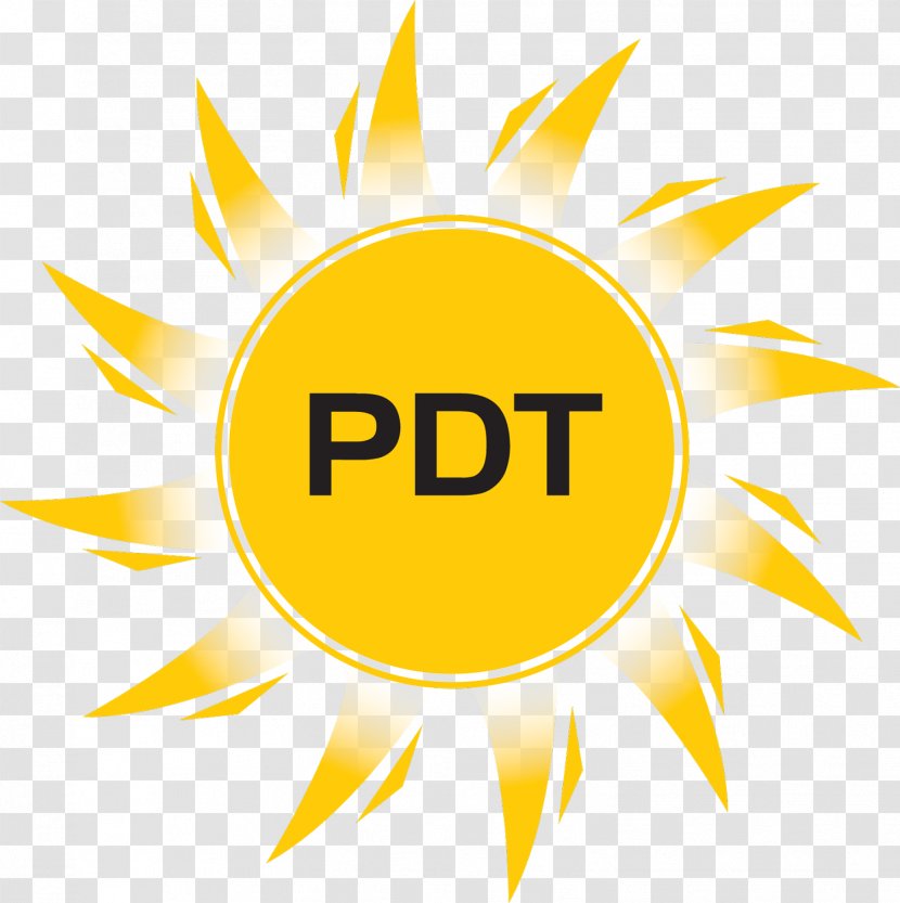 PDT Inc Dentistry Logo Vector Graphics Dental Hygienist - Brand - Loupes Transparent PNG