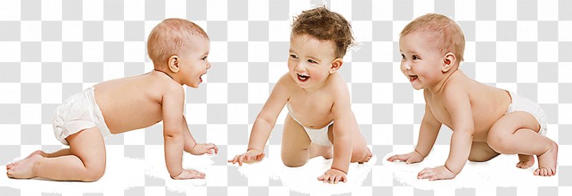 Child Development Stages Infant Human - Frame Transparent PNG