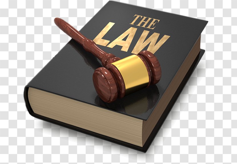 Criminal Defense Lawyer Law Legal Aid - Counsel Transparent PNG