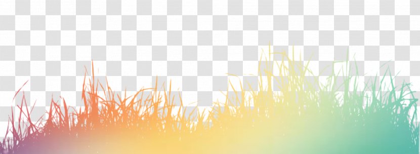 Light Wallpaper - Color Grass Silhouette Transparent PNG