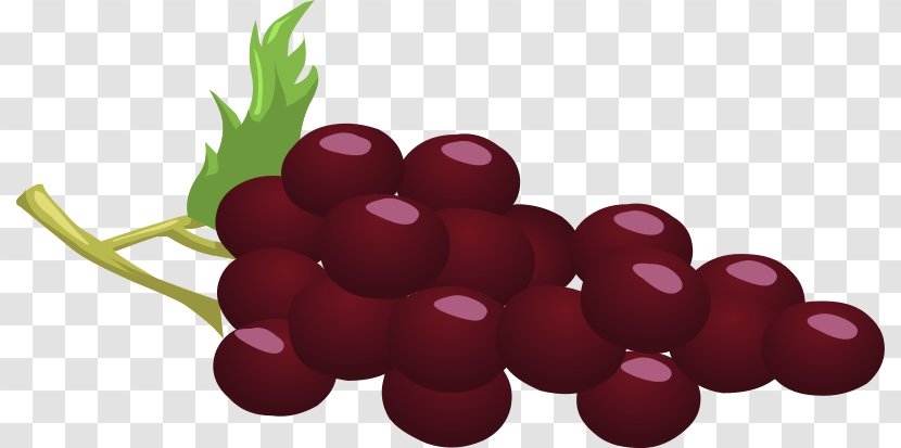 Common Grape Vine Wine Concord Clip Art - Food - Grapes Transparent PNG