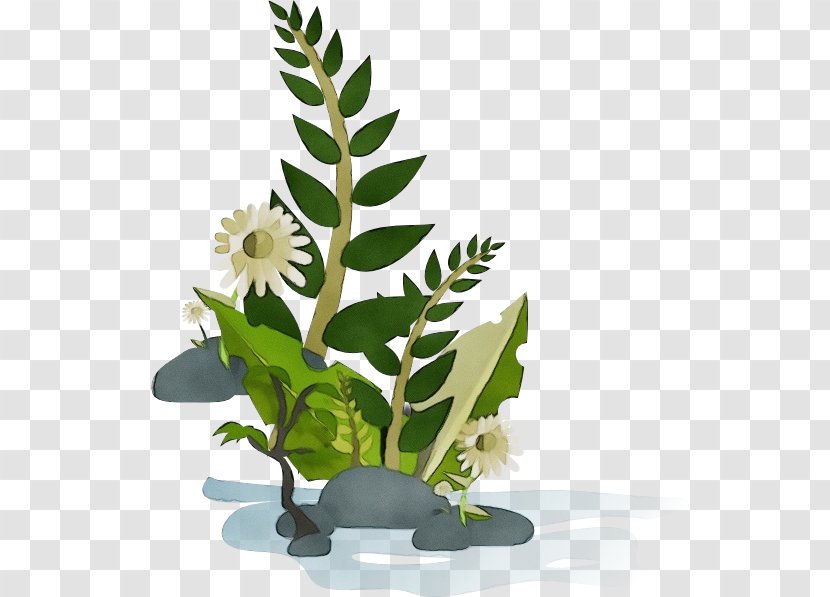 Flowerpot Flower Plant Leaf Houseplant - Vascular Terrestrial Transparent PNG