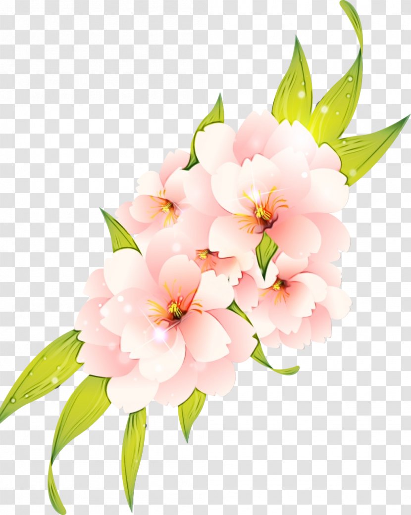 Vector Graphics Clip Art Flower Transparency - Chinese Peony - Drawing Transparent PNG
