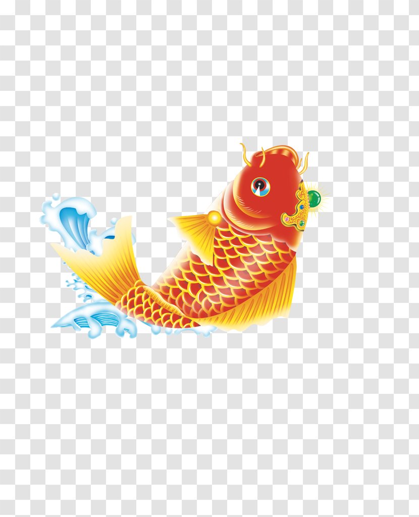 Koi Carassius Auratus Fish Carp - Fishing Transparent PNG