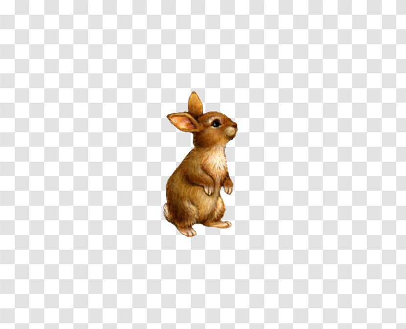 Domestic Rabbit Clip Art - Pet - Cute Little Stuffed Bunny Transparent PNG