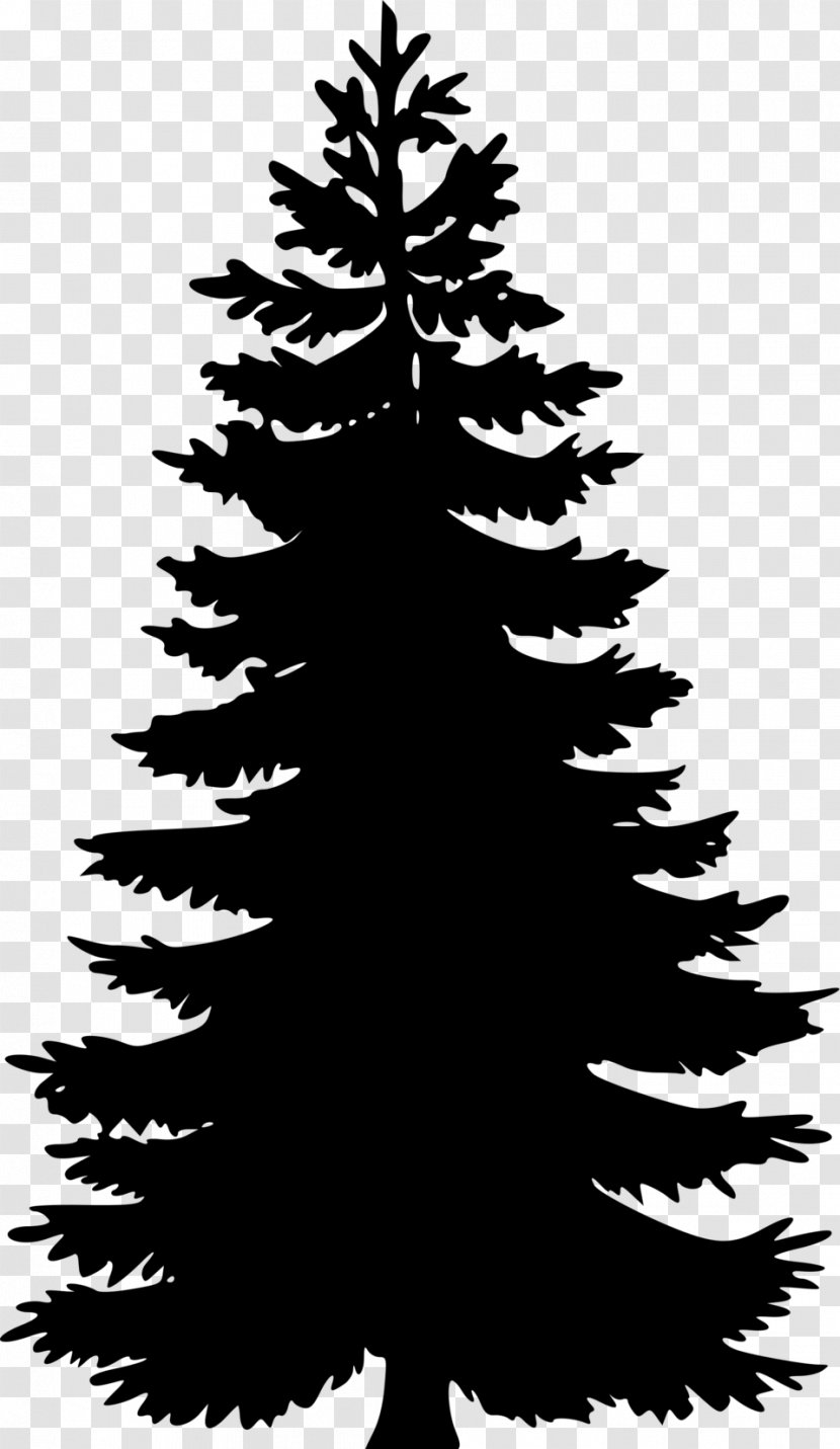 Eastern White Pine Tree Clip Art - Spruce Transparent PNG